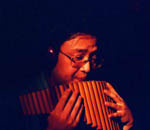 杜冲